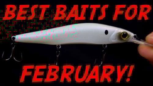3 MUST HAVE Baits for February Bass Fishing!