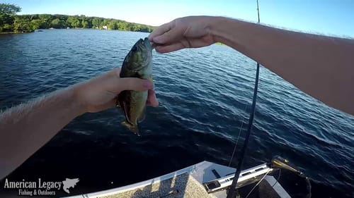 Day of the Dinks (Still Fun!)