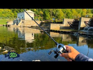 I Caught the Spillway Monster...Sort of
