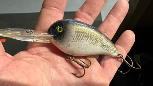 After 30 Years…I’m Giving Up The Loudmouth Crankbait Secret…