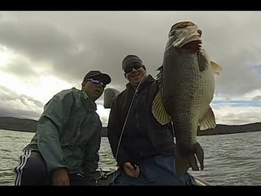 Swimbaits Retrieves: How to Fish a Huddleston Swimbait