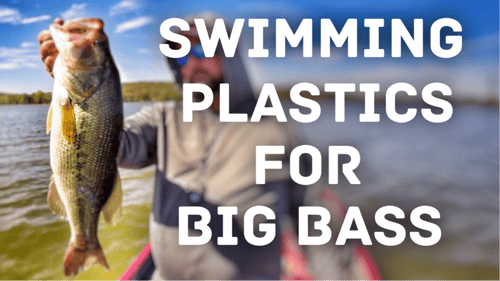 How to Fish Soft Plastics - The Swimming Technique - WHY WOULD YOU DO THAT?