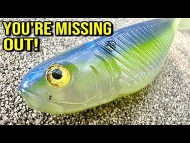 Want to Catch More Fish? These Baits Are the Real Secret