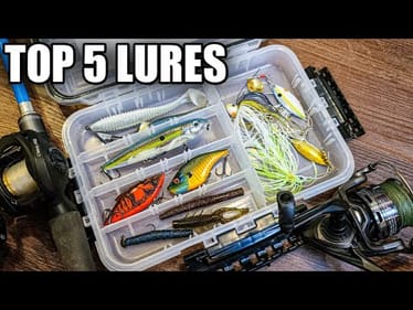 My Top 5 Fall Bass Fishing Lures (Bass Fishing for Beginners)