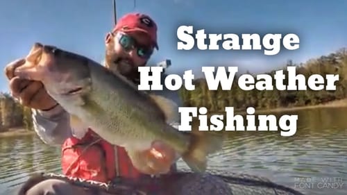 It's HOT - The Fishing Has Been Tough - Here's How to Catch Bass