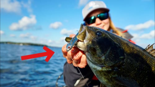 My FAVOURITE Way of Catching Fall Bass!