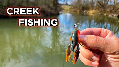 Winter Creek Bass Fishing...How?