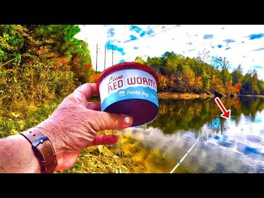 Secret Bank Spots For BIG Bluegill!!!