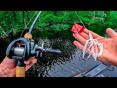Explosive Topwater Fishing All Day Gives me my Best Finish || Chowan River Elite 70 Alpha Series