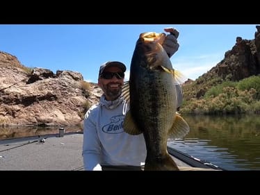 Big Fish Moves in Early Summer
