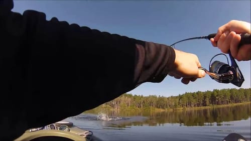GOOD FISH AND A "VLOG"