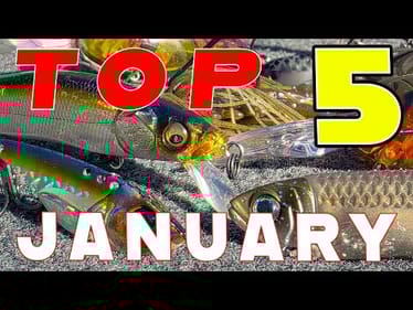 Top 5 Baits For January Bass Fishing!