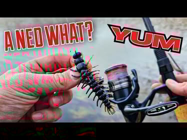 This SECRET Ned Rig ALWAYS Catches Fish!