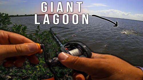 Catching Fish in a Giant Saltwater Lagoon