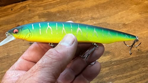 I’ll Tell You Guys How To Catch Hawgs On This Thing….