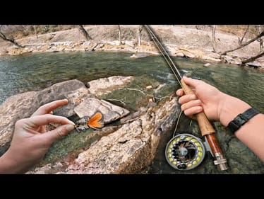 Fly Fishing The SICKEST River In North Carolina! (Trout HEAVEN)