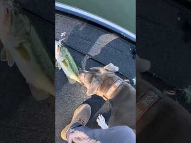 HOMEMADE Lure Crushes River Fish