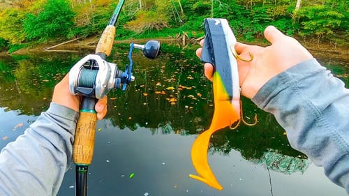 GIANT Unexpected Catch While Hunting Elusive Fish In Shallow Clear River