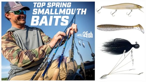 Best Lures for Prespawn Smallmouth Bass | Great Lakes