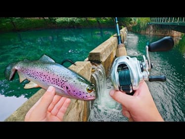 Fishing For 13lb Bass In AMUSEMENT Park Ponds! (Sketchy)