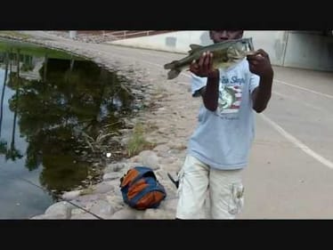 bass fishing at the local ponds