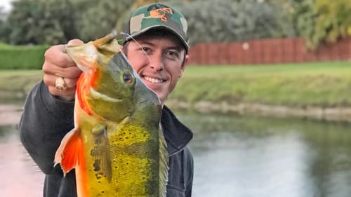 Catching My New Record Peacock Bass!!