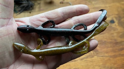 The Small Window When A Lizard Outproduces Any Other Lure…