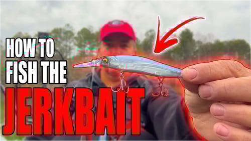 The Ultimate Guide To Jerkbait Fishing: Tips and Tricks