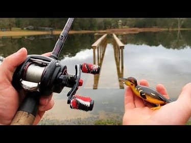 Fishing FLOODED Waters For Many Fish!
