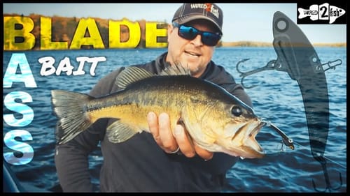 How to Fish Blade Baits for Fall and Winter Bass