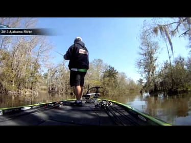 The Livewell shows new Elite video