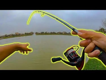 HUGE BONUS FISH while catching HUGE CRAPPIE!!