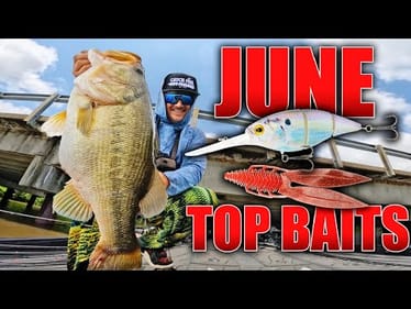 Out-Fish EVERYONE at Your Lake with these Top 10 Baits for June!