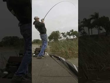 Boat Flipping Bass on Harris Chain #shorts #bassfishing #harrischain