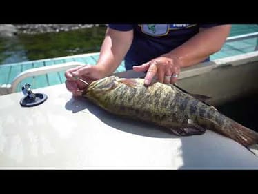 Fizzing smallmouth bass the proper way
