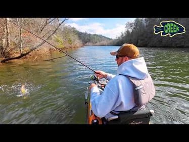 This Mountain River is Loaded with Fish!