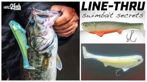 How to Rig and Fish Line Through Swimbaits