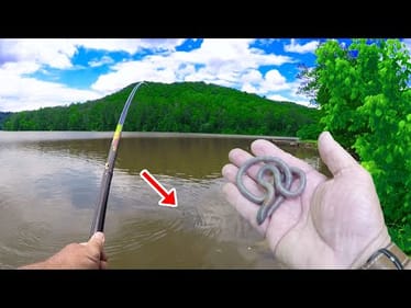 If You Like To Eat Catfish All You Need Is A Worm & Bobber