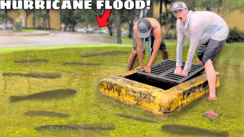 Saving Fish from HURRICANE FLOOD!