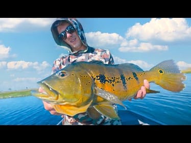 Chasing Ferocious Jungle Giants In Tropical Ponds