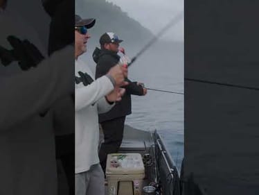 Adjusting LINE SIZE to your CONDITIONS!