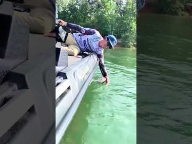 Yugo goes bass fishing in America!