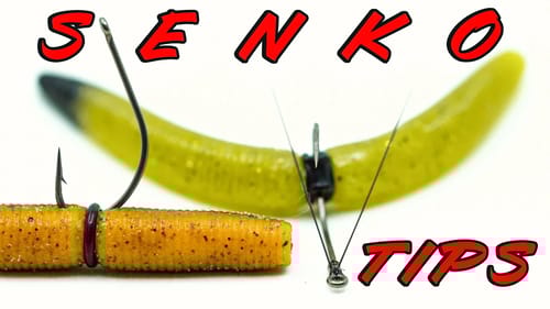 Senko Fishing Tricks! Beginner And Advanced!