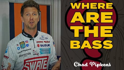 Find Bass Fishing Sweet Spots (Largemouth & Smallmouth)