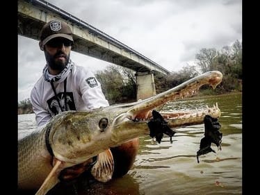 CATCHING MASSIVE PREHISTORIC FISH! ALLIGATOR GAR