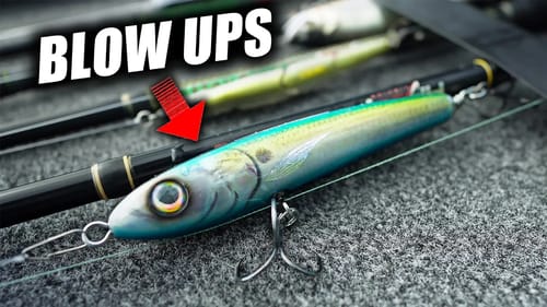 This LURE Triggers Ridiculous Topwater BLOWUPS and NO ONE is Fishing it!