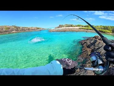 4 Days Solo Island Camping, Fishing & Cooking (Catch & Cook Finale)