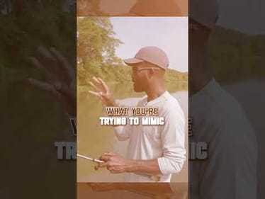Why The Texas Rig Is The Most Versatile!