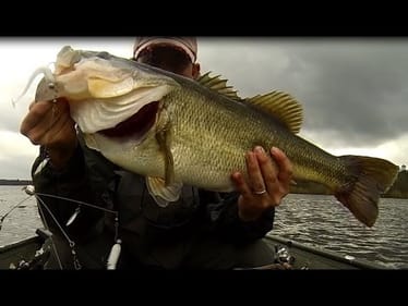 Alabama Rig Bass Fishing In "Sweet Home Alabama".