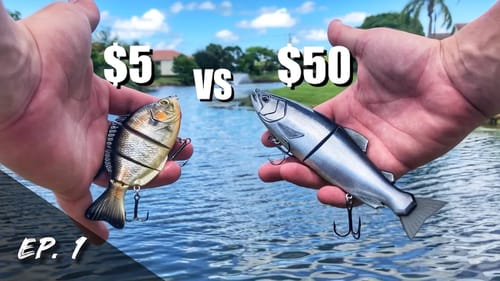 Cheap VS Expensive SWIMBAIT! | Swimbait Showdown: Season 1, ep 1